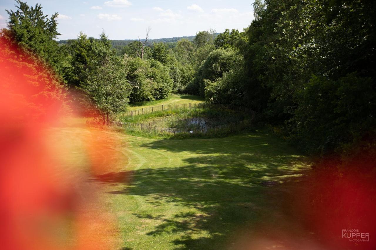 Le Bonheur De La Cascade 24 Pers - Malmedy, Wellness, Jardin, Confort Exteriör bild